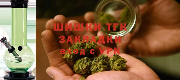 прущие грибы Абдулино