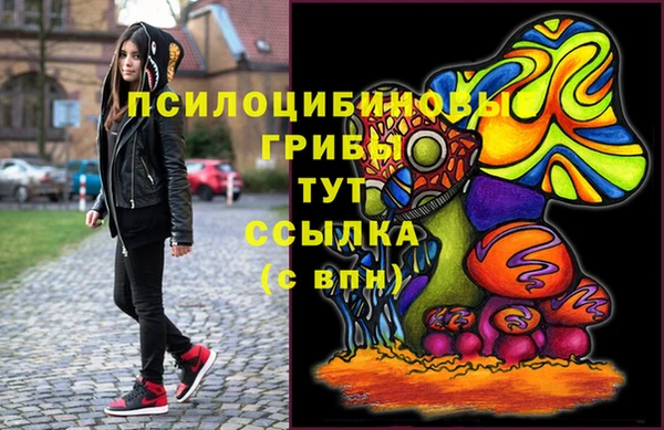 apvp Абинск