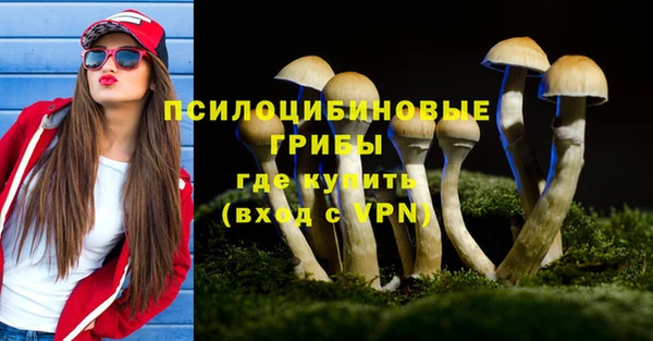 apvp Абинск