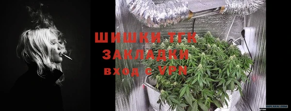 прущие грибы Абдулино