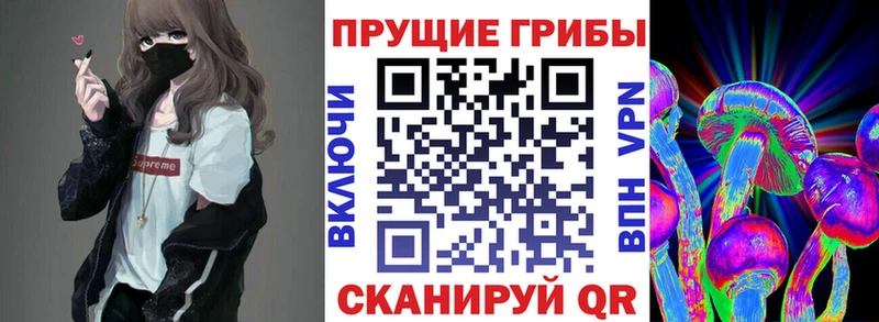 Галлюциногенные грибы Psilocybine cubensis  цена   Ак-Довурак 